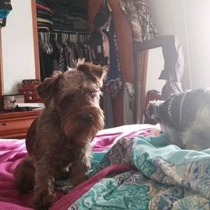 Meet your Posher, Alyson